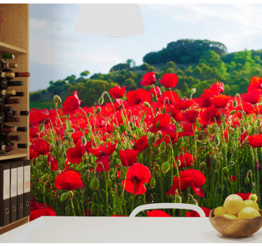 Fototapete mohnblumen rotes mohnfeld - TenStickers