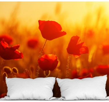 Fototapete mohnblumen sonnenaufgang im feld - TenStickers