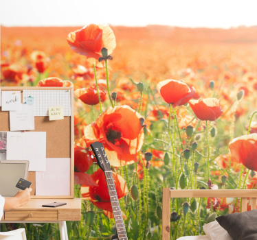 Fototapete mohnblumen sonnenbeschienene felder - TenStickers