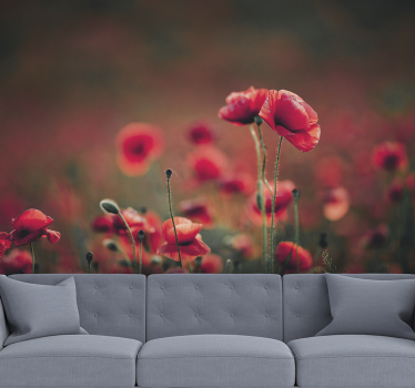 Fototapete Mohnblumen üppiges feld - TenStickers