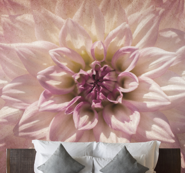 Fototapete Blumen zarte rosa blüte - TenStickers
