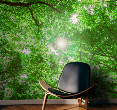 Fototapete natur blick auf das blätterdach - TenStickers