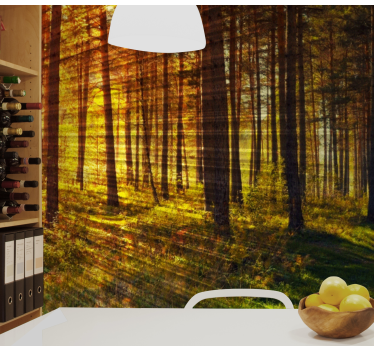 Fototapete Natur goldener waldweg - TenStickers