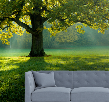 Fototapete natur majestätische baum-silhouette - TenStickers
