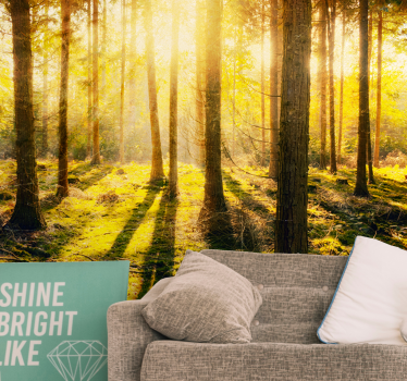 Fototapete natur sonnenverwöhntes waldlandscape - TenStickers