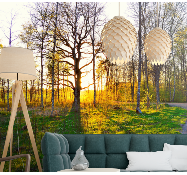 Fototapete natur sonniger waldweg - TenStickers