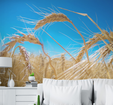 Fototapete natur weizenfeld landschaft - TenStickers