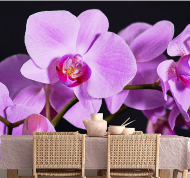 Fototapete orchidee anmutige orchideenblüten - TenStickers