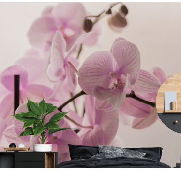 Fototapete orchidee zarte orchideenblüten - TenStickers