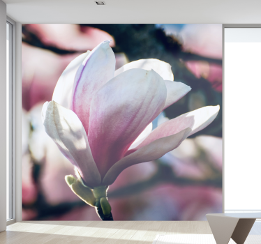 Fototapete orchidee zarte rosa blüte - TenStickers