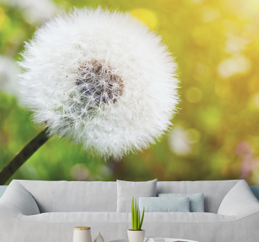 Fototapete pusteblume dandelion seed head - TenStickers