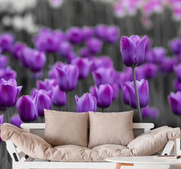 Fototapete Pusteblume lila tulpenblüten - TenStickers