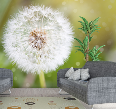 Fototapete Pusteblume löwenzahn nahaufnahme - TenStickers