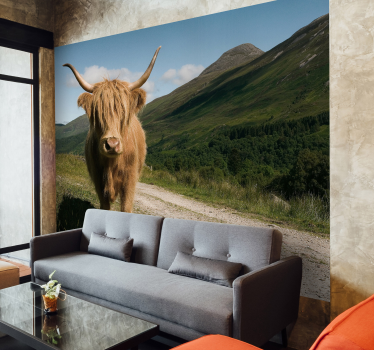 Fototapete Schottische Highland Kuh - TenStickers