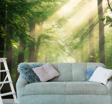 Fototapete wald sonne zwischen den bäumen - TenStickers