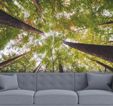 Große Bäume in Wald Landschaft Fototapete - TenStickers