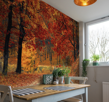 Herbst Wald Natur Fototapete - TenStickers