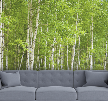 Tapete Wohnzimmer Fototapete Birkenwald Bäume - TenStickers