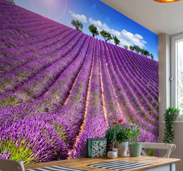 Lavendel Feld Landschaft Fototapete - TenStickers