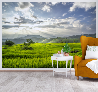 Fototapete Berg Morgendämmerung Feldlandschaft - TenStickers