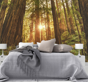 Mystischer Morgen Wald Fototapete - TenStickers