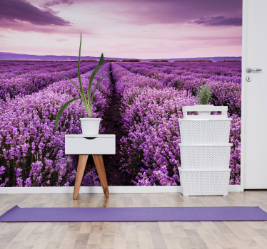 Provence lavendel wandtapete - TenStickers