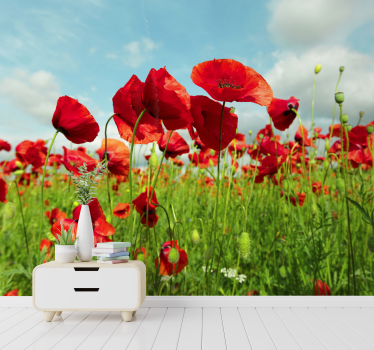 Riesiges Mohnfeld Blumen Natur Fototapete - TenStickers