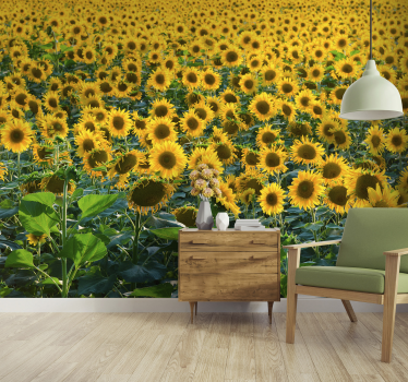 Riesiges Sonnenblumenfeld Fototapete - TenStickers
