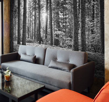 Schwarz-weiß Wald Natur Fototapete - TenStickers