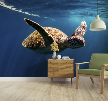 Schildkröte unterwasser Tier fototapete - TenStickers