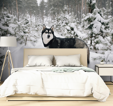 Winterwald und Husky Natur Fototapete - TenStickers