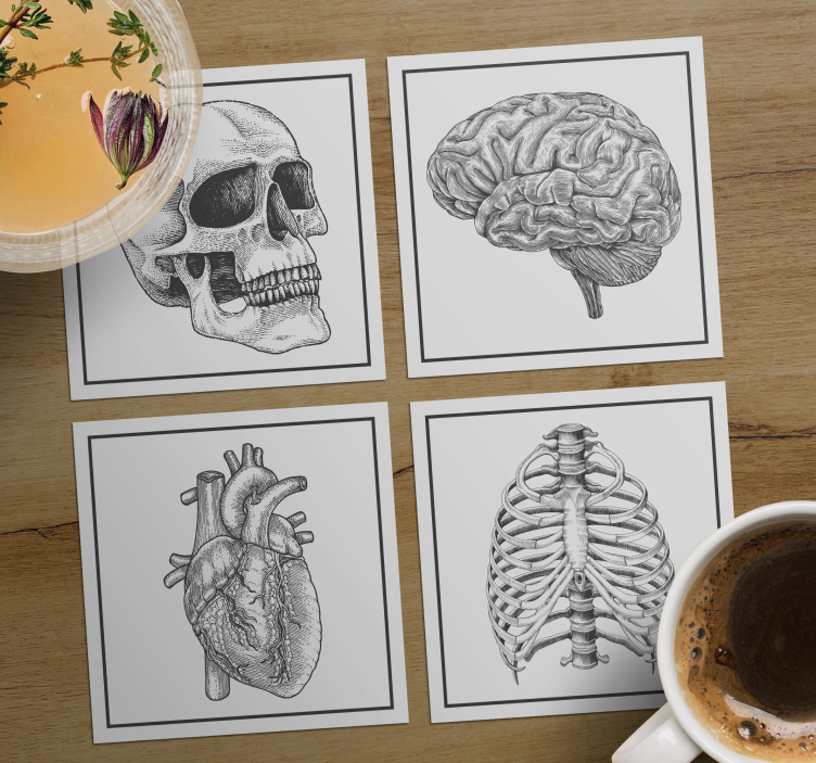 Untersetzer geek anatomisches schädel gehirn herz skelett - TenStickers