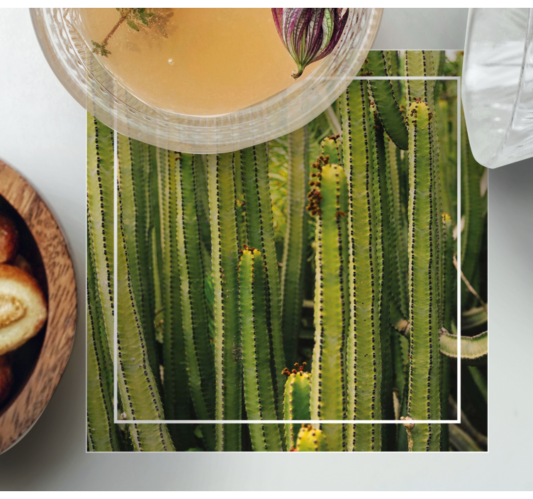 Untersetzer mit kaktusstruktur oberfläche - TenStickers