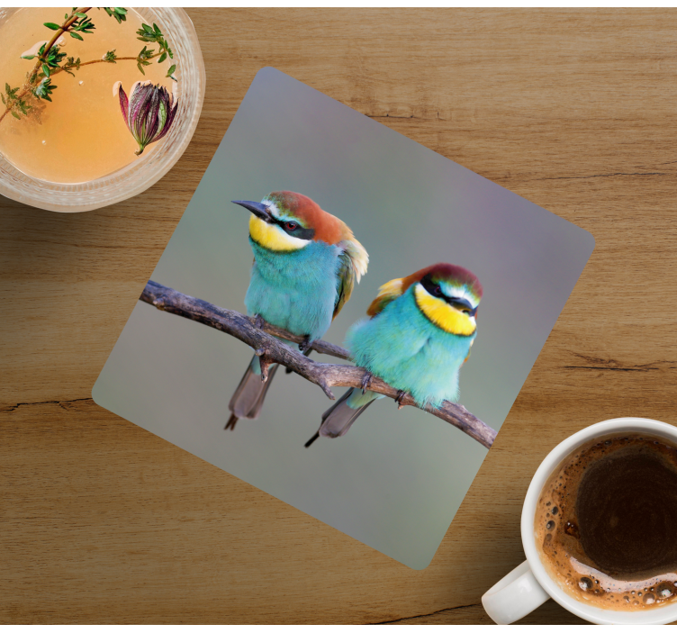 Untersetzer modern bunte vögel auf Ästen - TenStickers