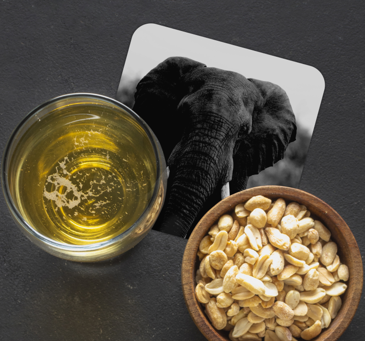 Vintage untersetzer mit monochromen elefantenporträts - TenStickers