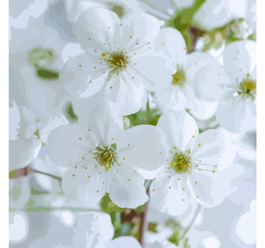 Untersetzer zarte kirschblüten - TenStickers