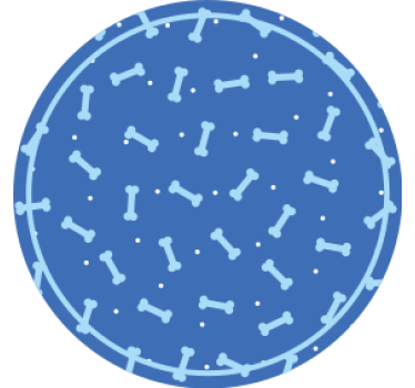 Untersetzer im knochenmuster kreis - TenStickers