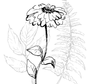 Untersetzer mit botanischer linienkunst - TenStickers