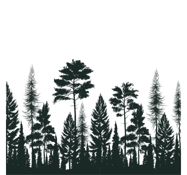 Untersetzer silhouette von hohen kiefern - TenStickers