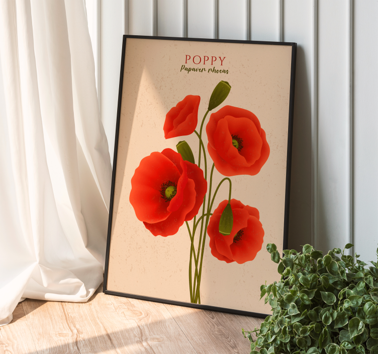 Poster Mohnblumen schlicht - TenStickers