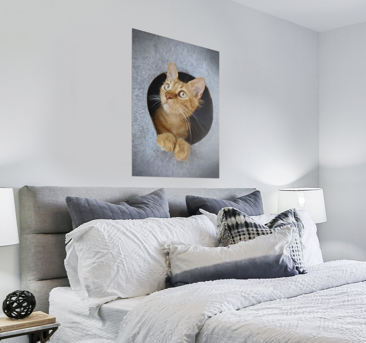 Poster Neugierige orange Katze - TenStickers