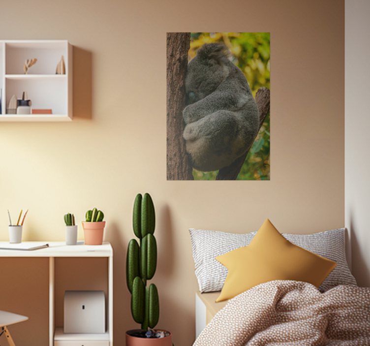 Jugendzimmer Poster koala schlafen - TenStickers