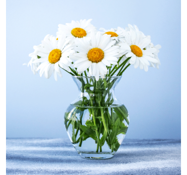 Poster wohnzimmer mit gänseblümchen in gläsern - TenStickers