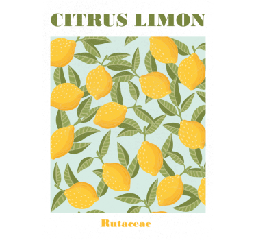 Poster Sommerliches Zitronenmuster - TenStickers