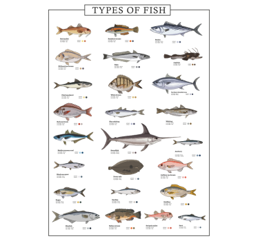 Poster Küche Verschiedene Fischarten - TenStickers