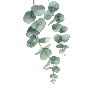 Poster Baum Eukalyptuszweige - TenStickers
