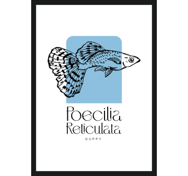 Fischposter guppy-Fisch - TenStickers