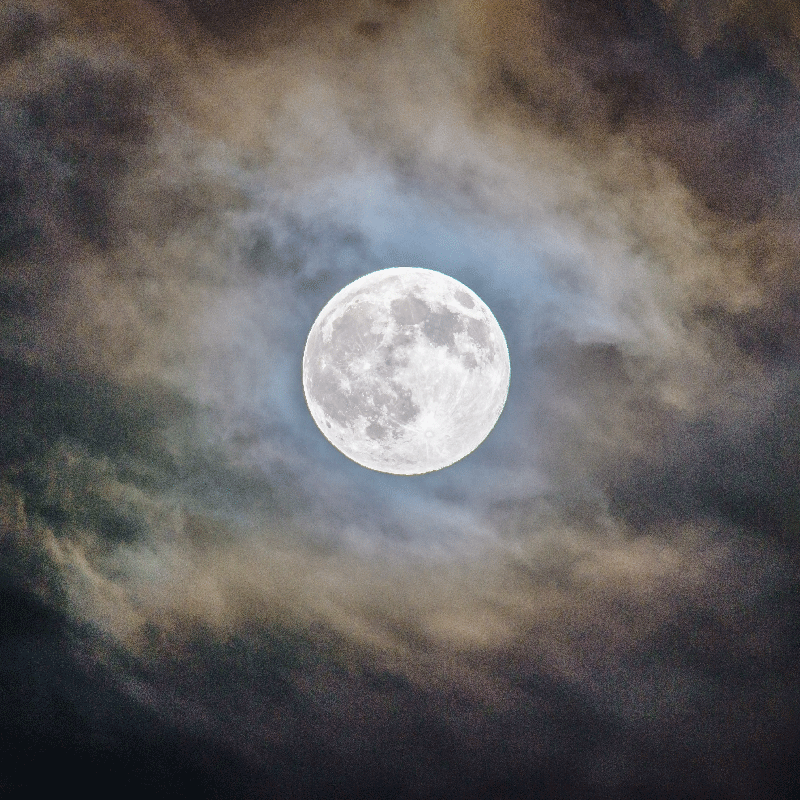 Poster wohnzimmer vollmondnacht - TenStickers