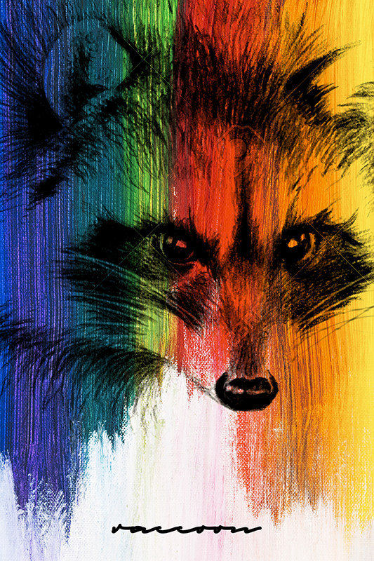 Poster wohnzimmer regenbogen waschbär - TenStickers