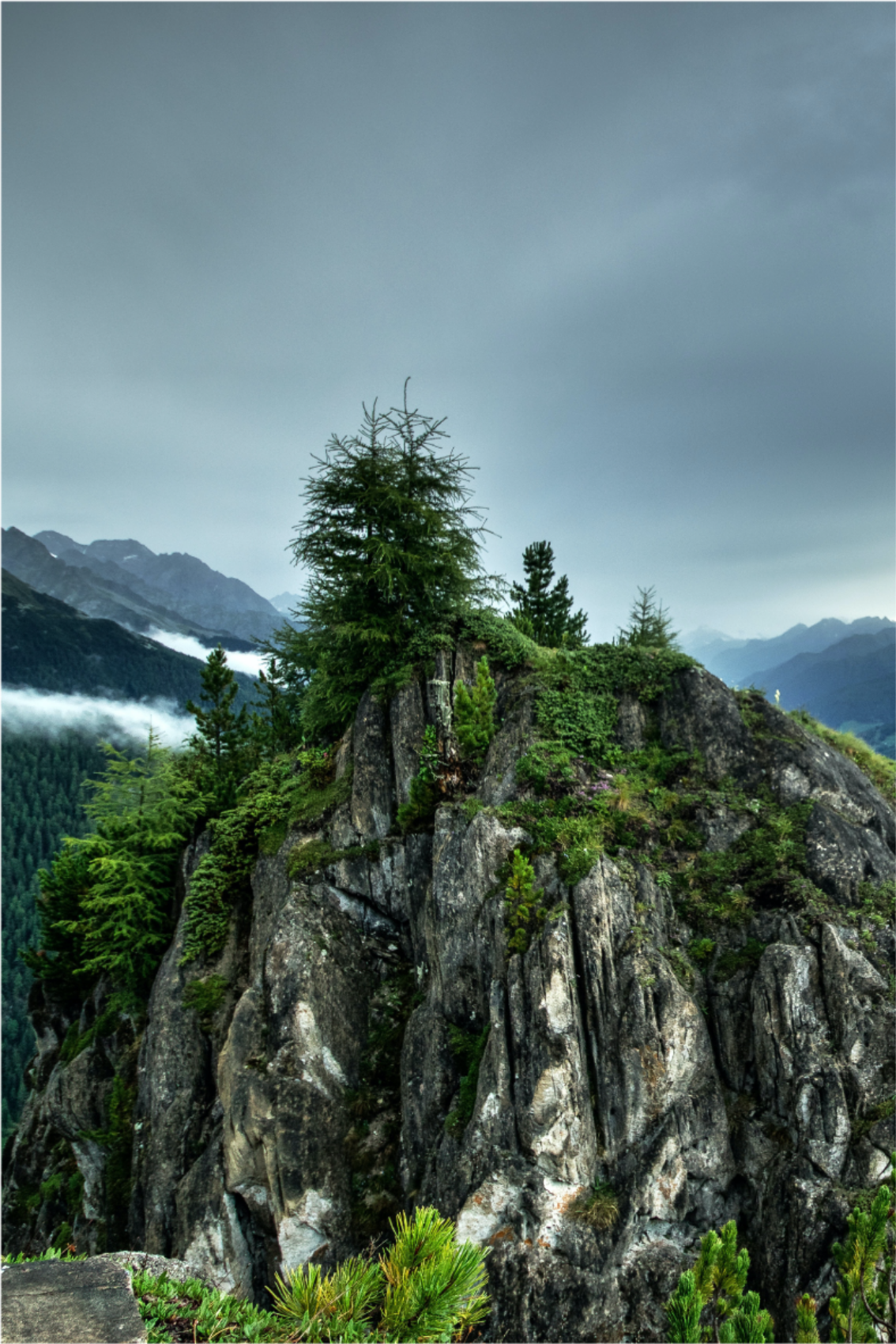 Poster wohnzimmer einzelner felsen im grünen wald - TenStickers